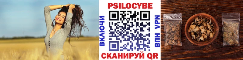 Галлюциногенные грибы Psilocybine cubensis  Купить закладки  Голицыно 